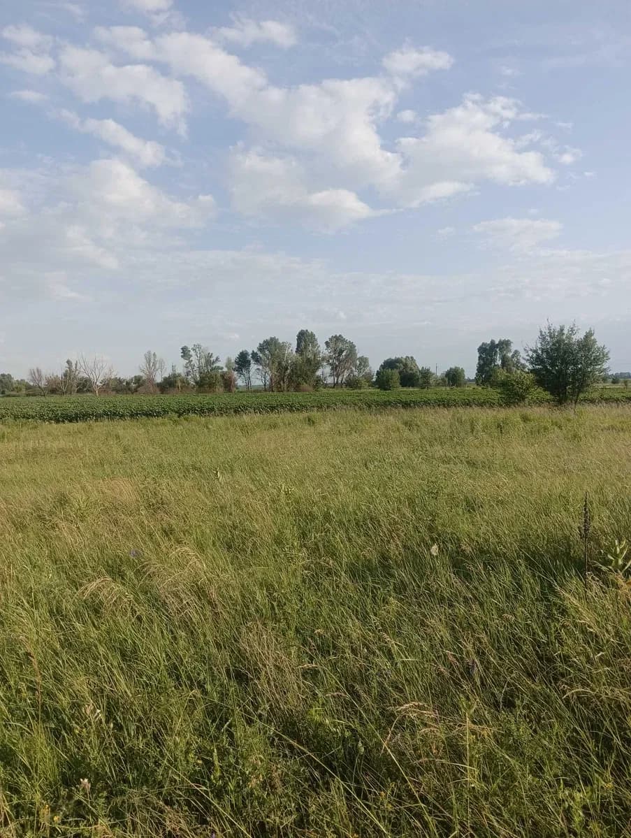 Ділянка 15 соток, Іванків: під житлову забудову, до 10 км - фото 5