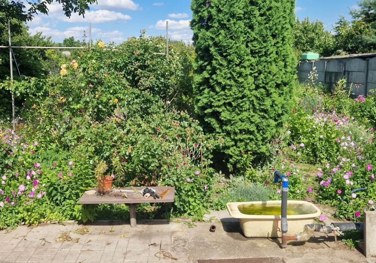 Будинок, Миколаївка (Васильківка): гараж, балкон, бесідка