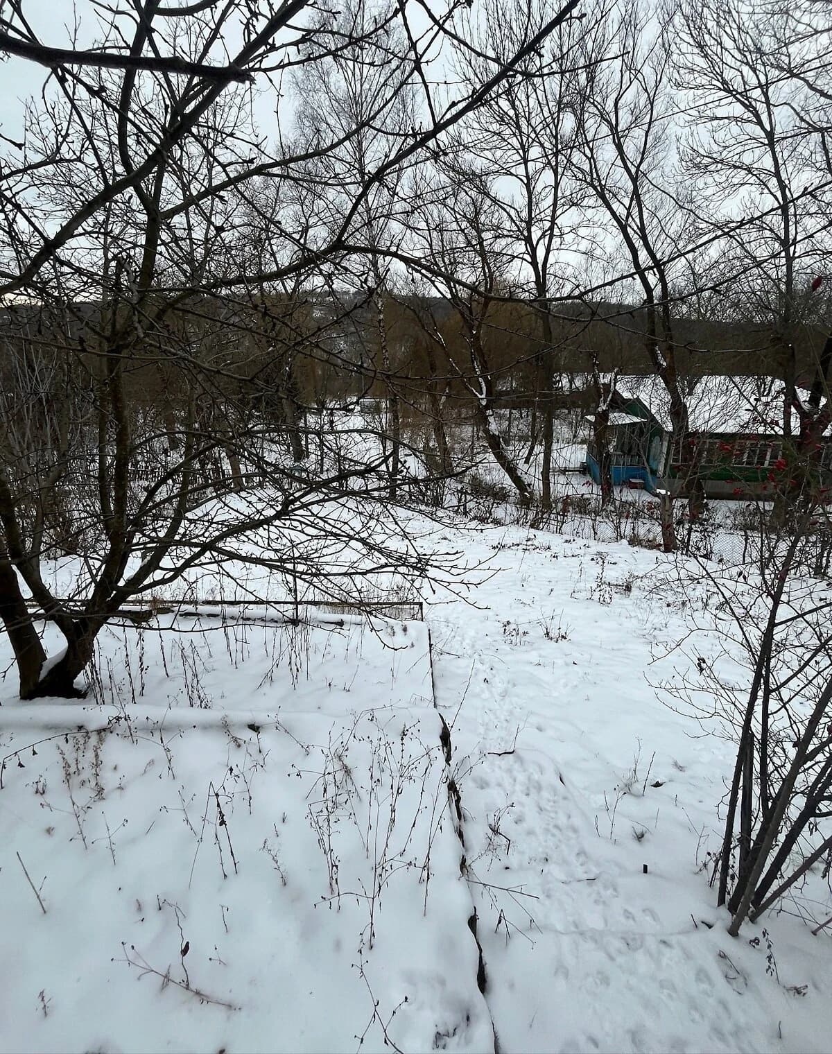 Будинок, Могилів-Подільський: веранда, 5 спалень, гараж у дворі - фото 4