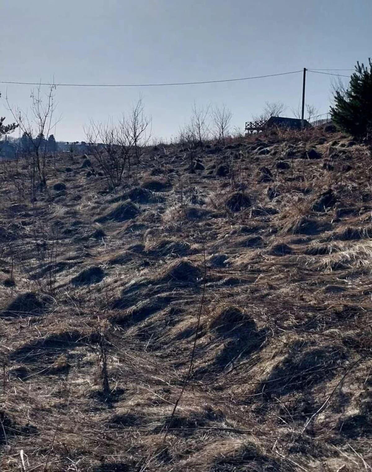 Ділянка 8 соток, Підгородне: під житлову забудову, під гараж - фото 3