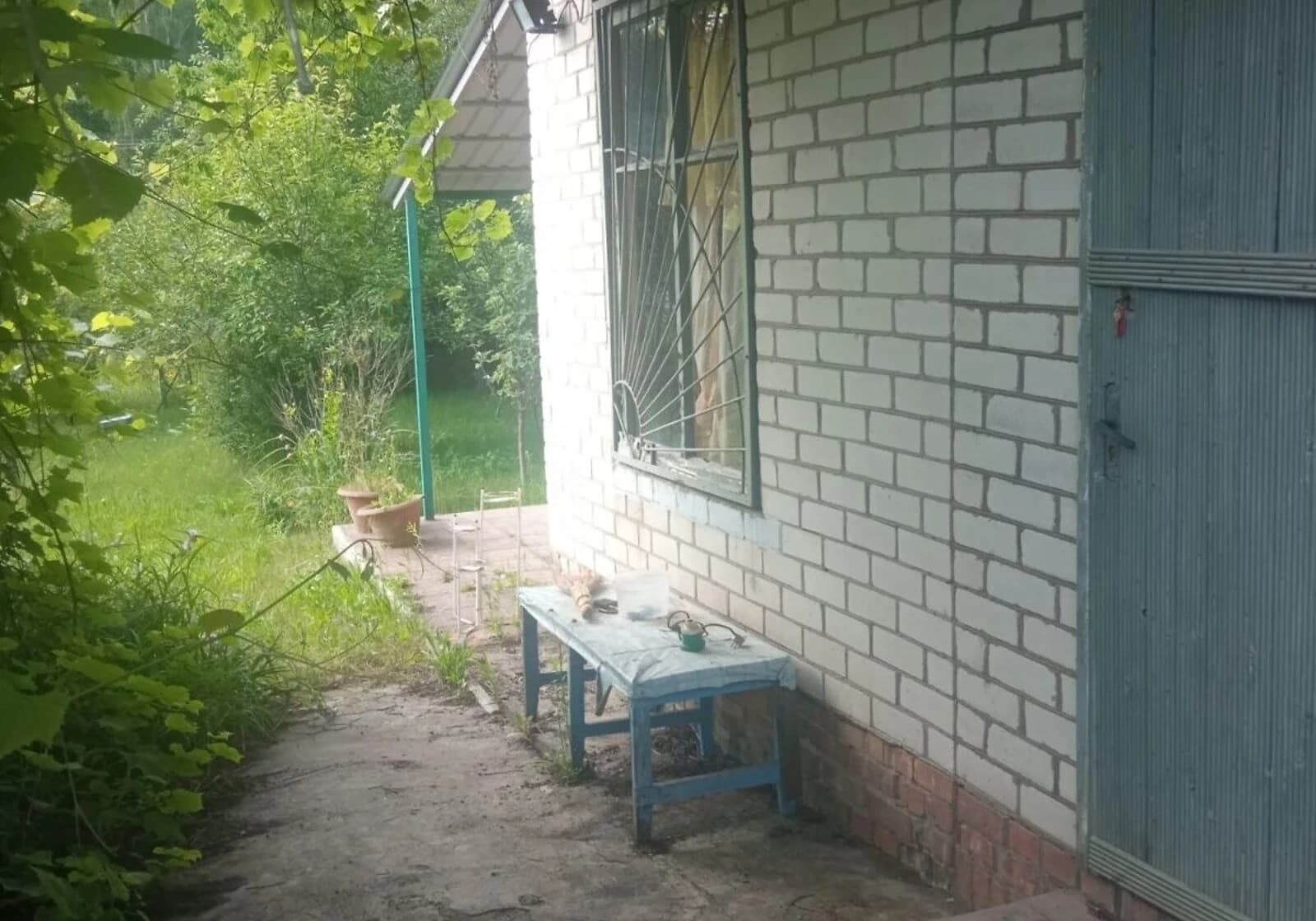 Ділянка 5 соток, Деснянка: дачний кооператив, сад і виноградник - фото 3