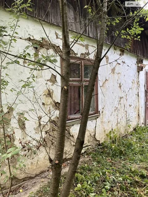 Дача, Грабовець: цегляні стіни, централізоване опалення, сад - фото 4