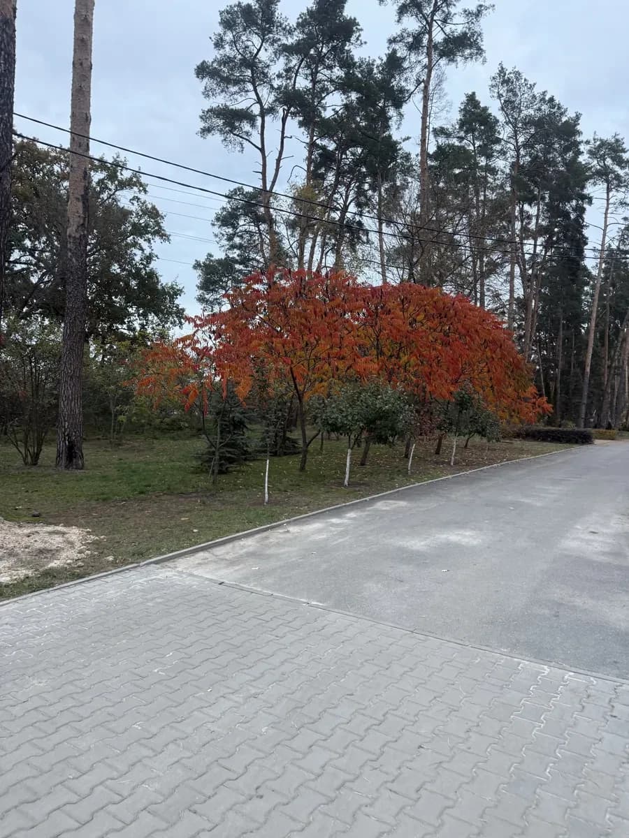 Ділянка 5 соток, Лісова Буча: кутова, два фасади - фото 1
