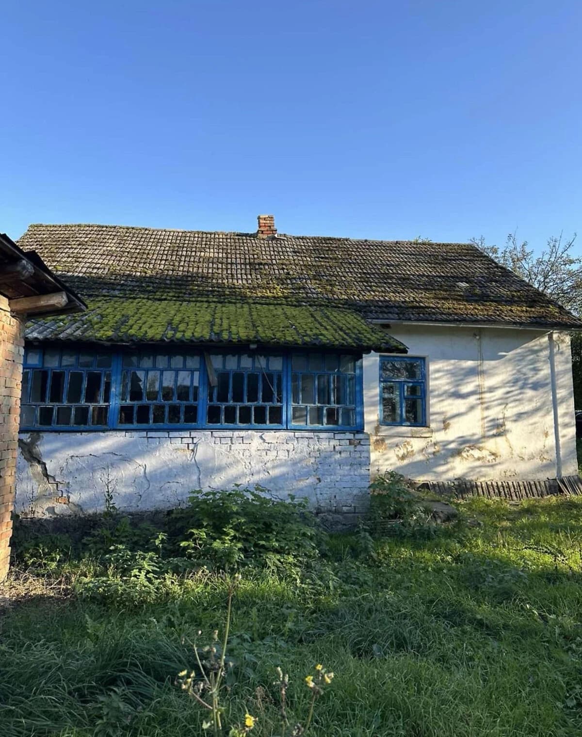 Ділянка 25 соток, Молодаво Третє: під житлову забудову, будинок і сад - фото 3