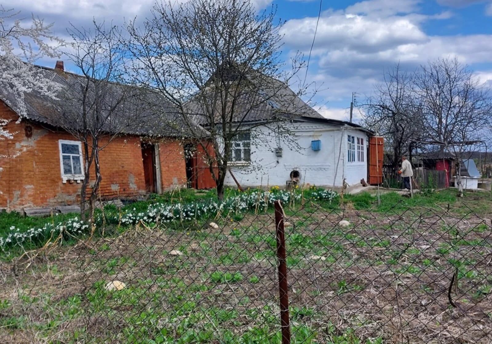 Будинок, Мізяків: 61 сотка, криниця, пічне опалення - фото 4