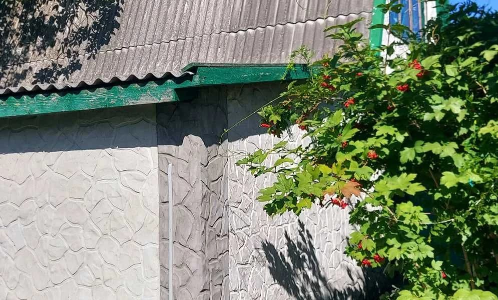 Дача, Миколаївка: перша лінія від води, 12 соток, великий гараж - фото 3