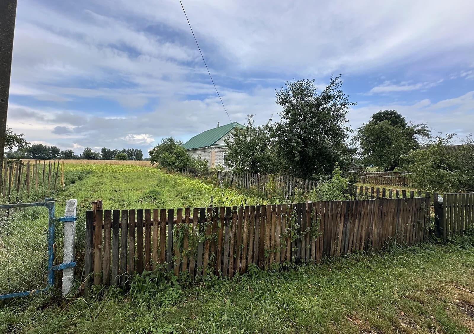 Будинок, Йосипівка (Малин): криниця, 25 соток, літня кухня - фото 3