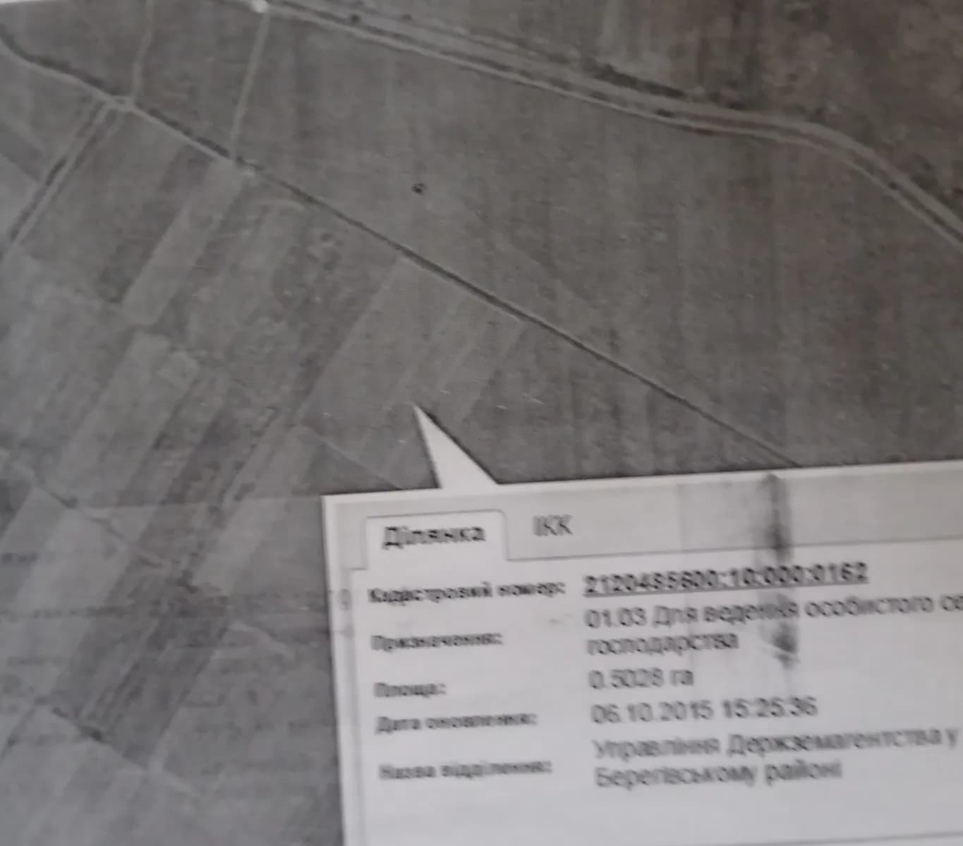 Ділянка 200 соток, Косонь: термальна вода, газ та електрика - фото 4