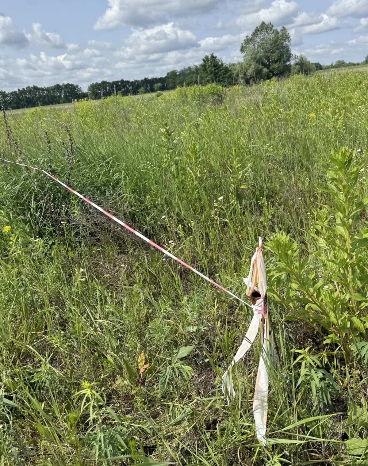 Ділянка 5.63 сотки, Михайлівка-Рубежівка: під житлову забудову, під гараж - фото 2