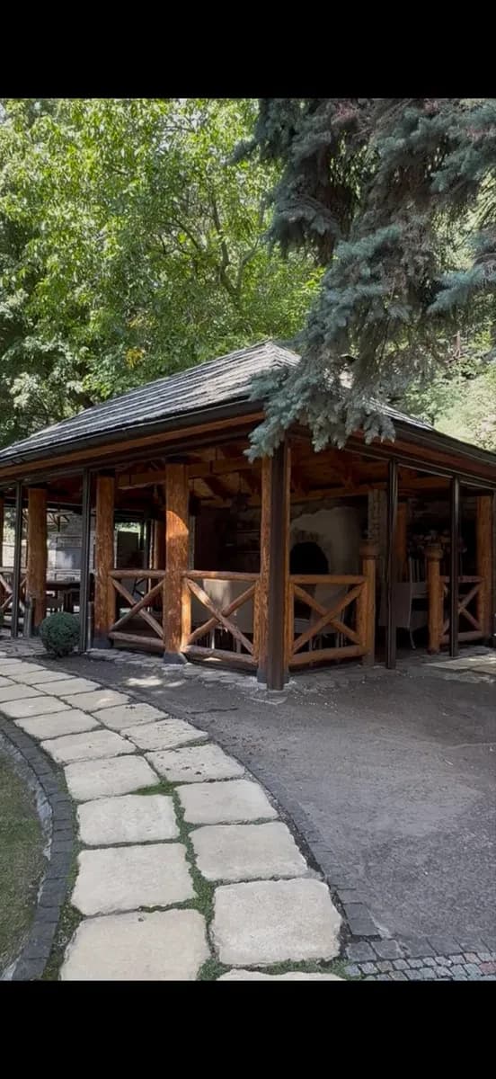 Будинок, Печерський: генератор, басейн, 30 соток - фото 2
