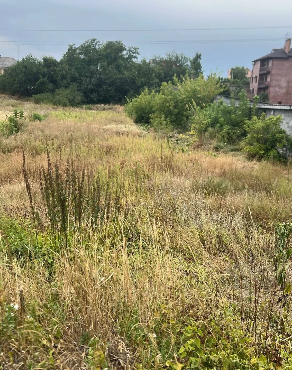 Ділянка 17 соток, Козин (Обухів): під житлову забудову, торг можливий - фото 3