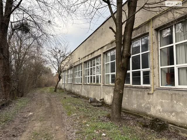 Спеціальне приміщення, Тячів: 38 соток, резервне живлення