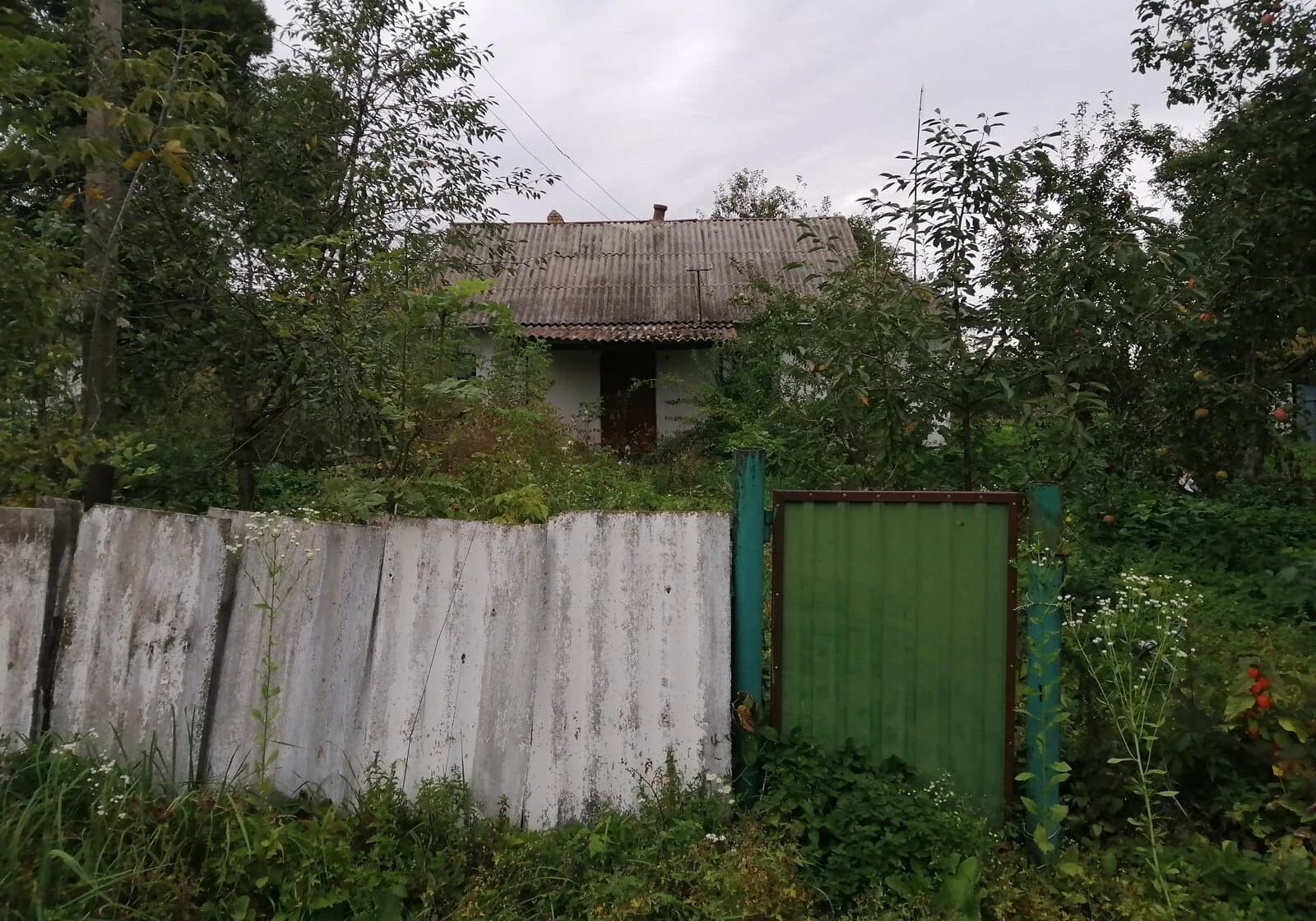 Будинок, Сальниця: літня кухня, шиферний дах - фото 2