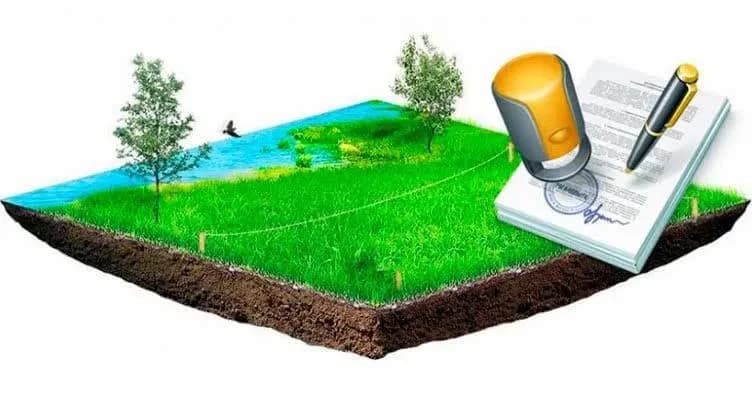 Ділянка 200 соток, Тернопільський район: довгострокова оренда - фото 4