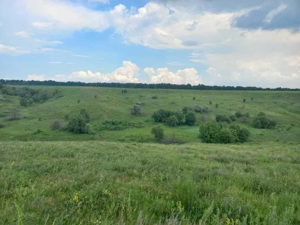 Ділянка 100 соток, Велика Бугаївка: ОСГ, парк Київська Русь поруч - фото 5