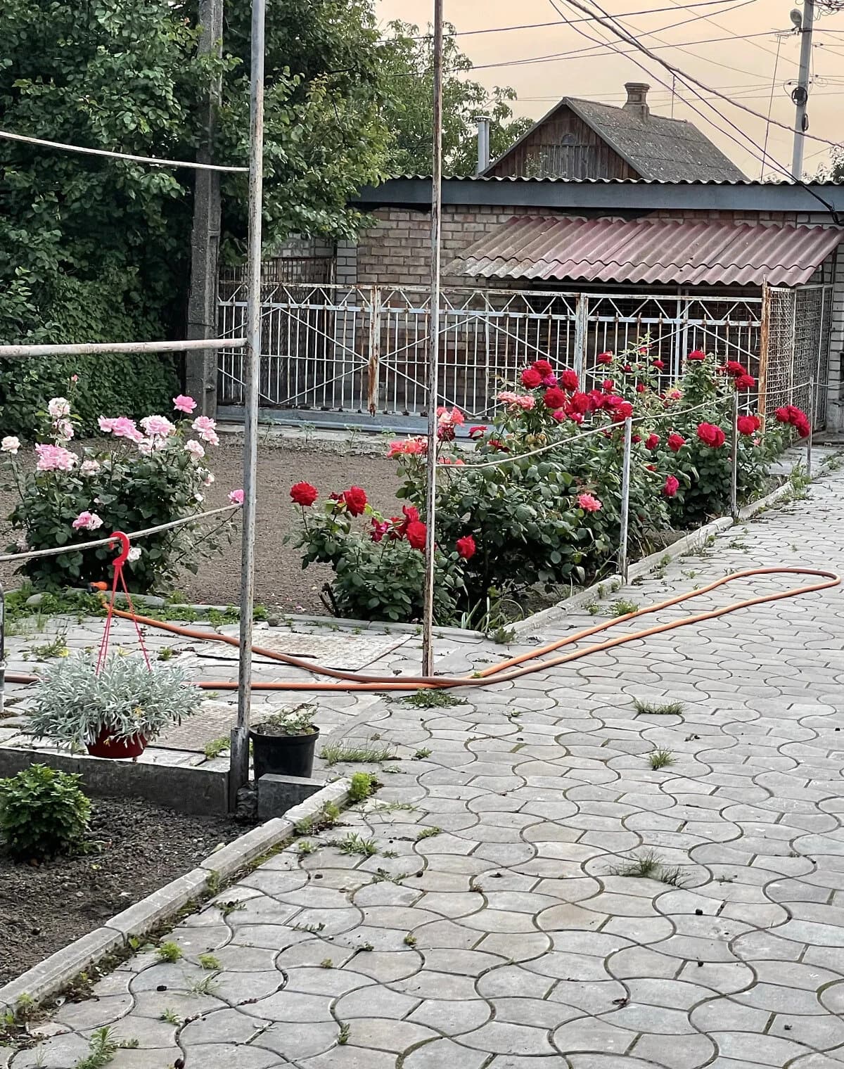 Будинок, Нікополь: гараж, баня / сауна - фото 5