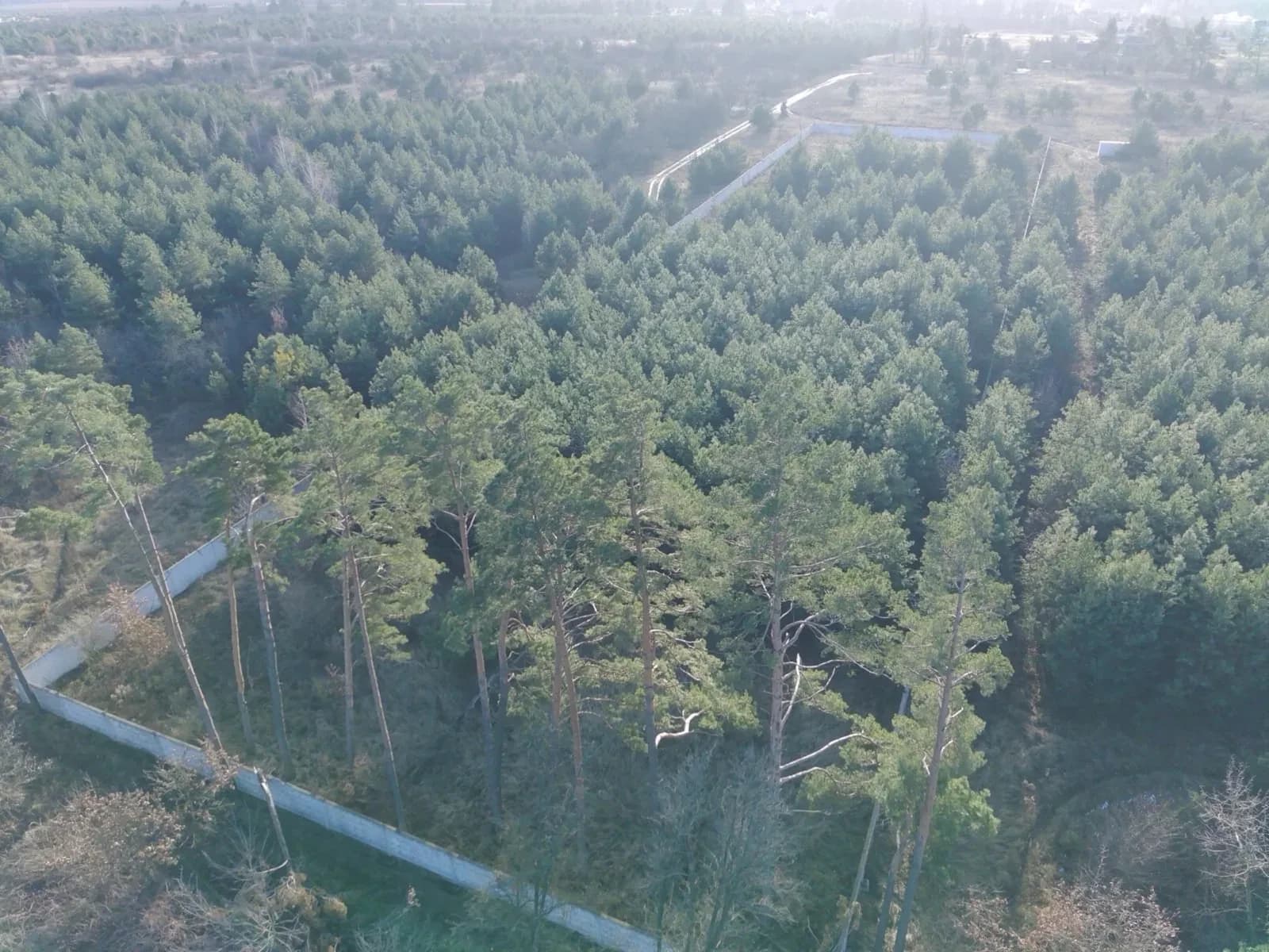Ділянка 100 соток, Бобриця: ліс, озеро, комунікації поруч
