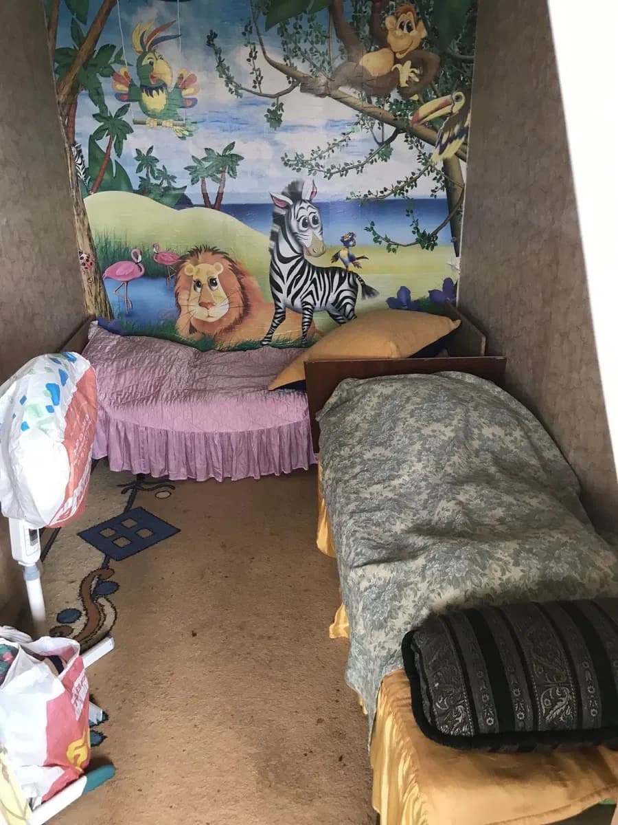 Дача, Каравелове: виноград, плодові дерева, 2 поверхи - фото 4
