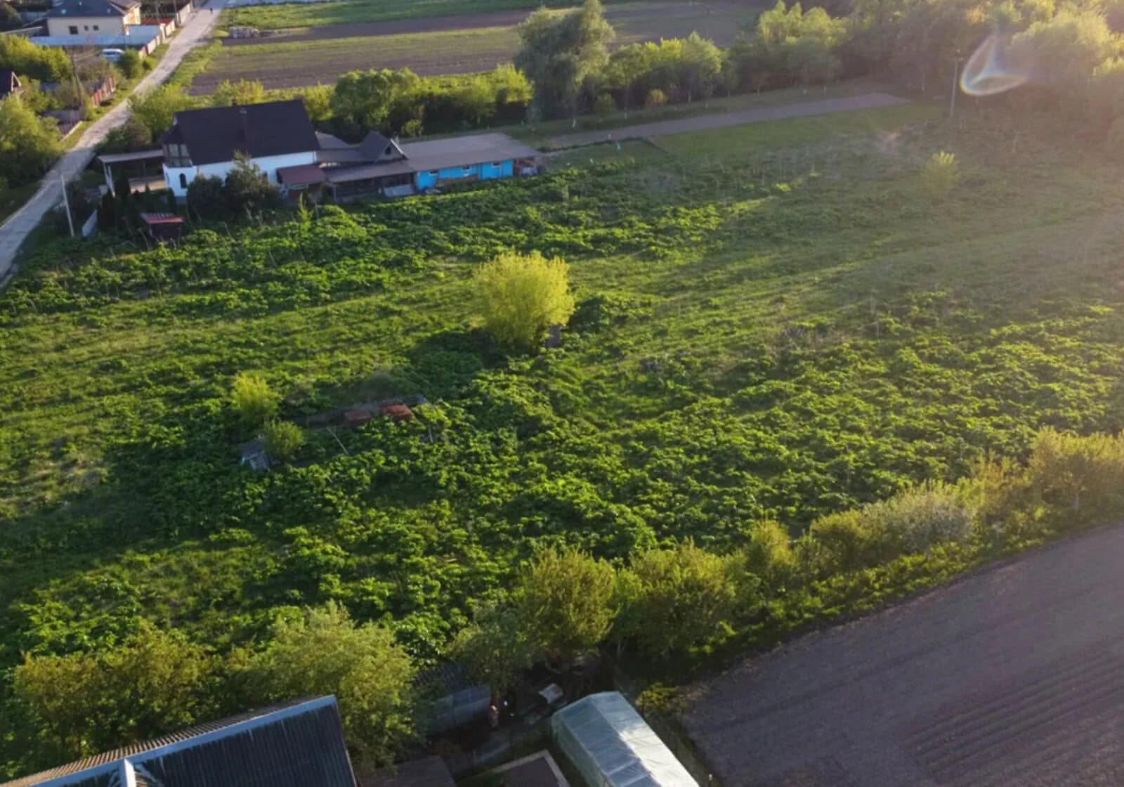 Ділянка 21 сотка, Підлісся: під житлову забудову, з фундаментом