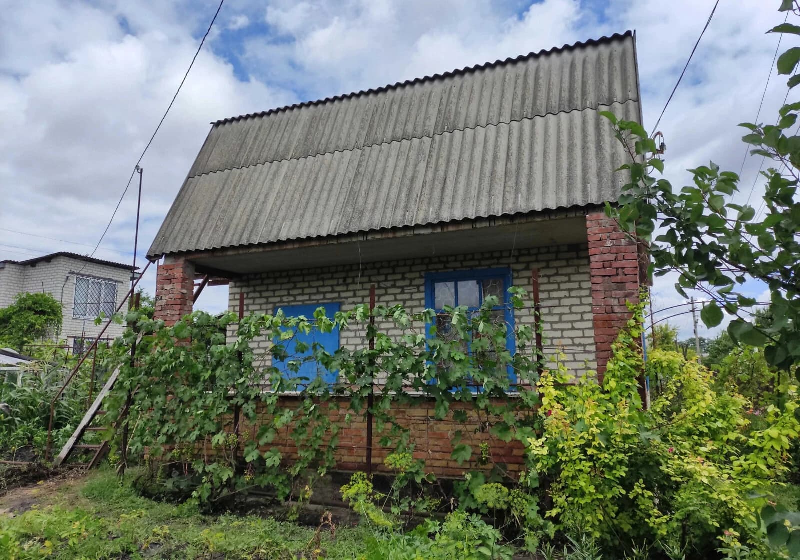 Дача, Мала Кохнівка: цегляні стіни, поливна система