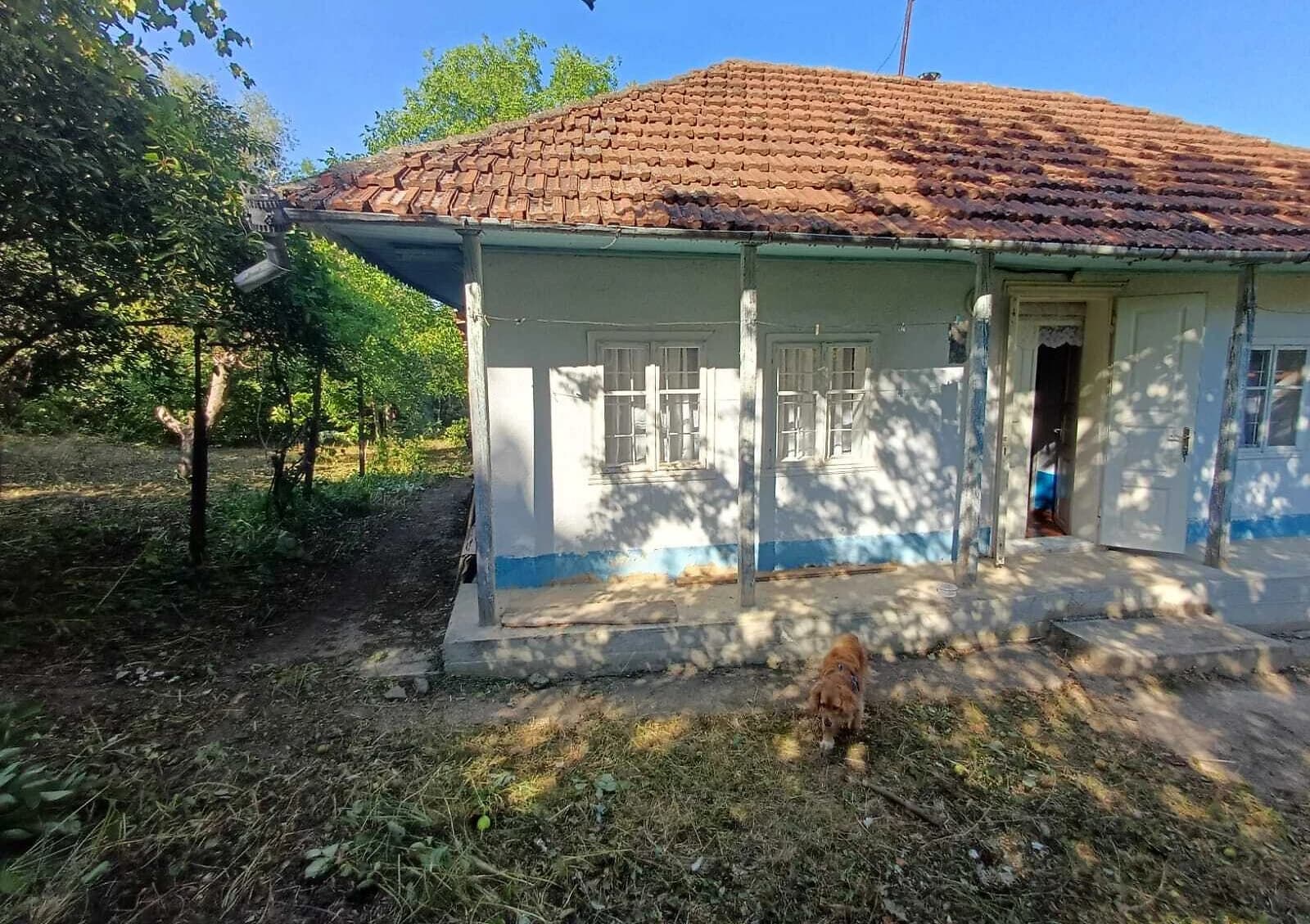 Будинок, Грозинці: 50 соток, криниця, торг можливий - фото 4