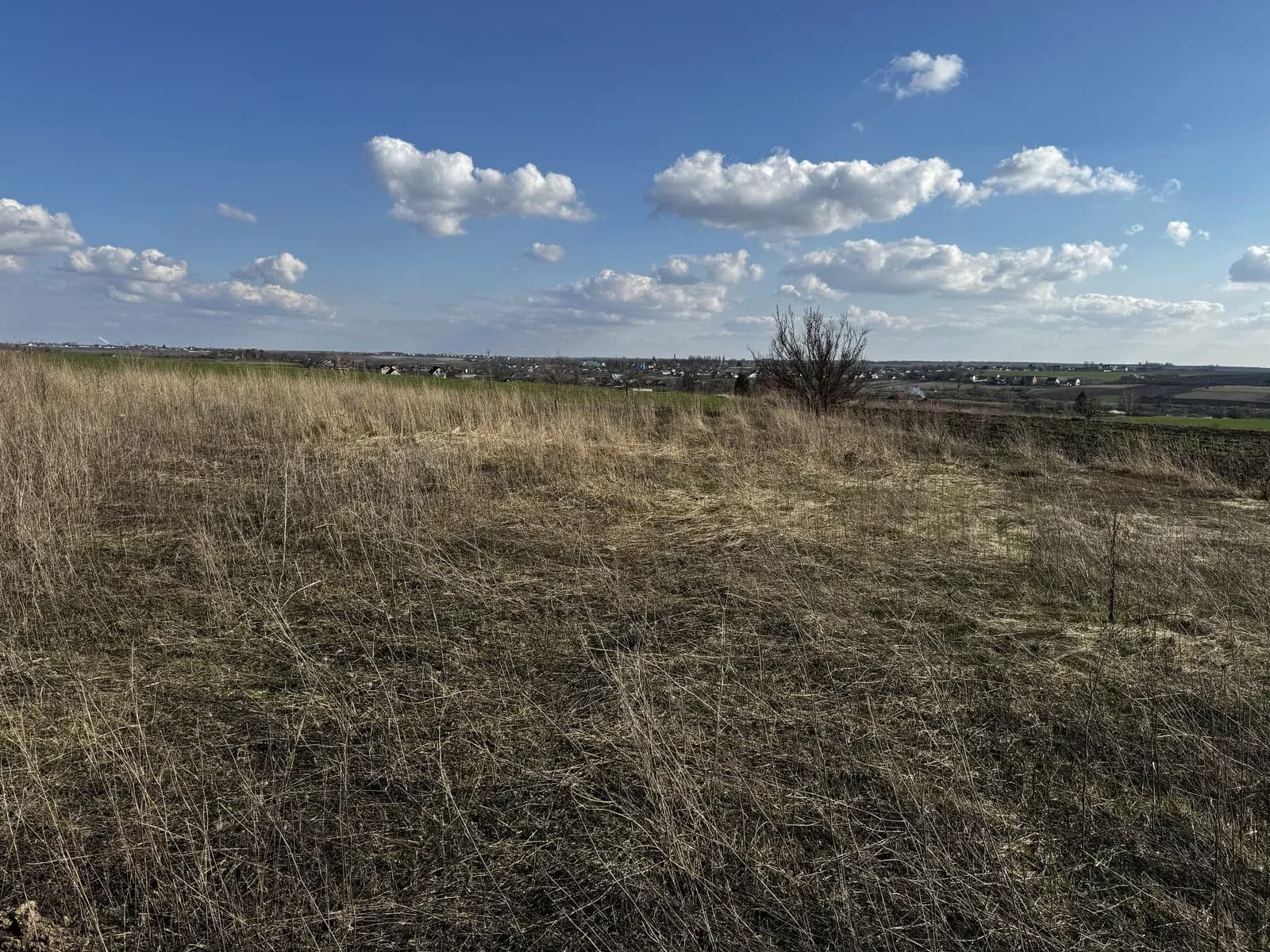 Ділянка 10.92 соток, Ясининичі: під житлову забудову, 8 км від Рівного - фото 3
