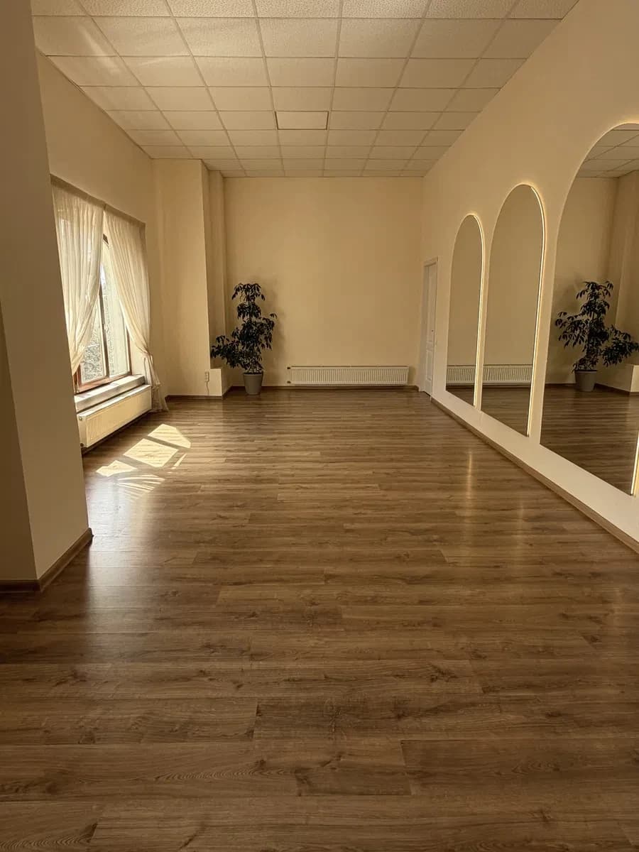 Зала, Приморський: світло завжди, арочні дзеркала, погодинна оренда - фото 5