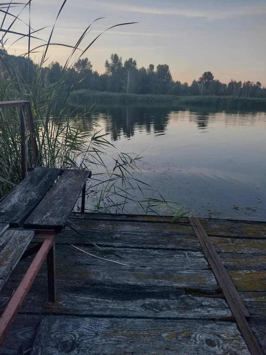 Дача, Лозівок: берег річки Ольшанка, вихід до води, 12 соток