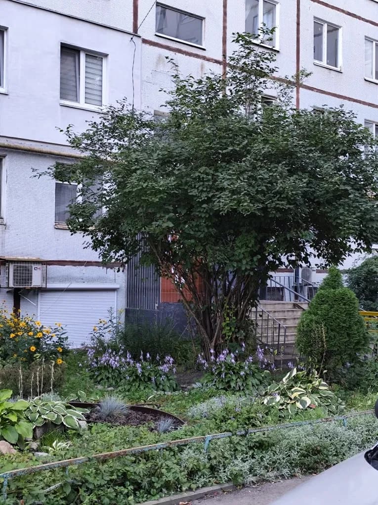 3-кімнатна квартира, Безлюдівка: метро Барабашова, можна з тваринами - фото 3