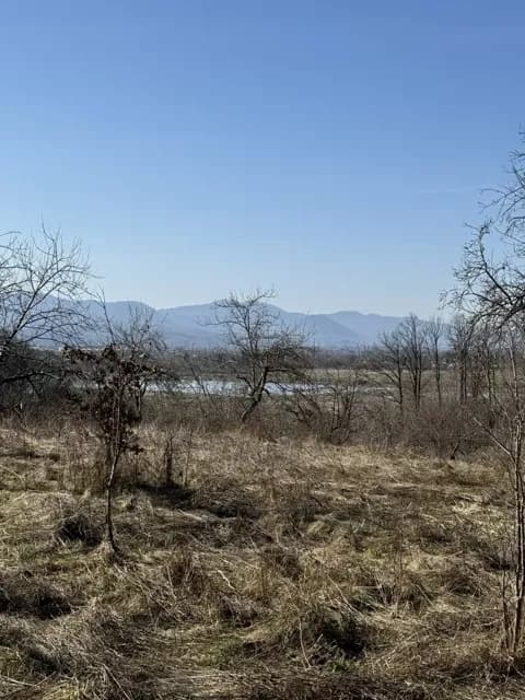 Ділянка 50 соток, Тячів: асфальтована дорога, будинок і туалет - фото 4