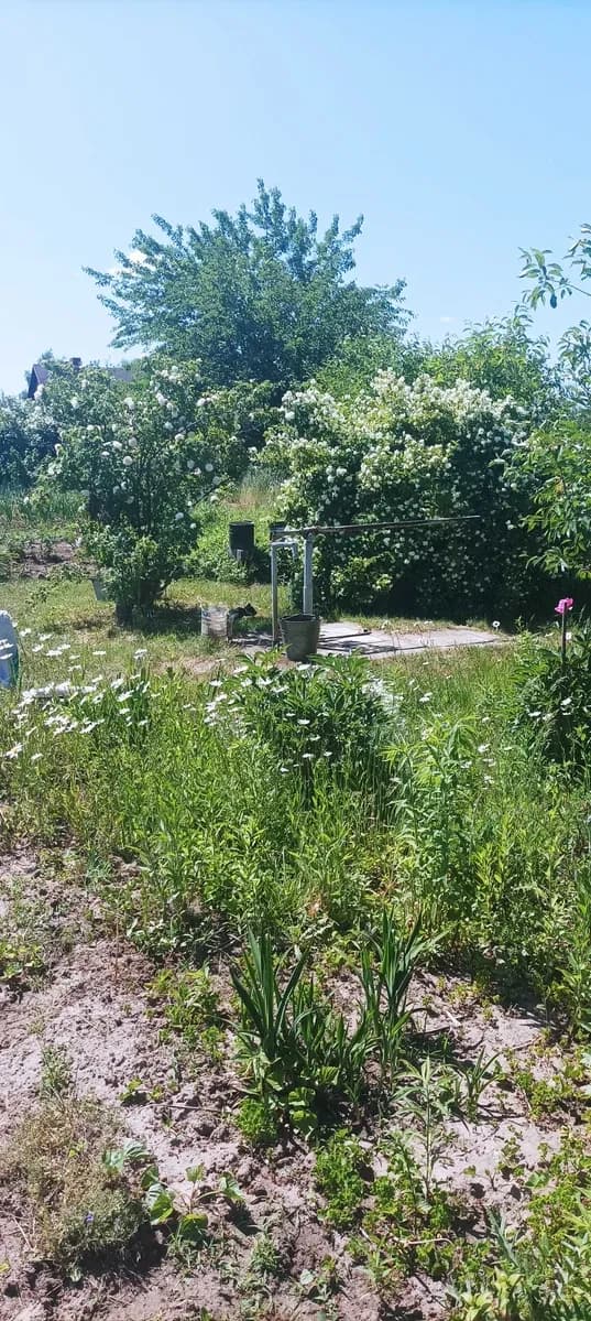 Ділянка 15 соток, хутір Швачиха, смт Баришівка: вагончик, свердловина - фото 2