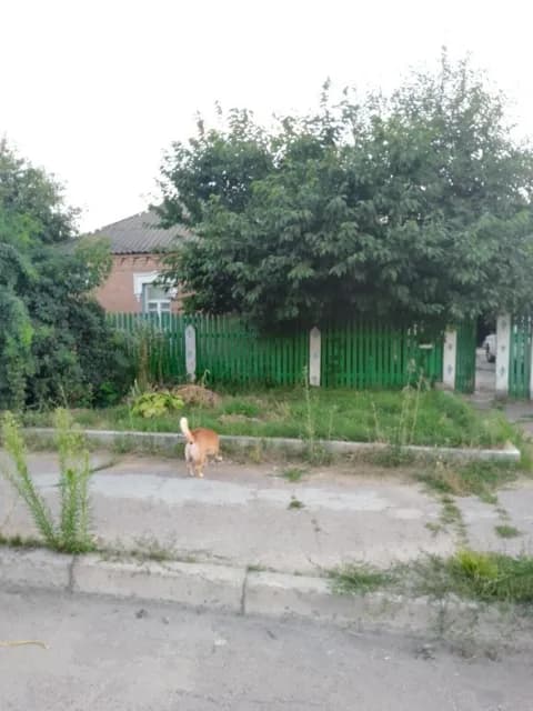Будинок, Кропивницький: гараж у дворі, цегляні стіни, торг - фото 5