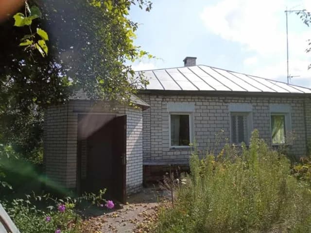 Будинок, Короп'є: гараж, 46.6 сотки, бесідка