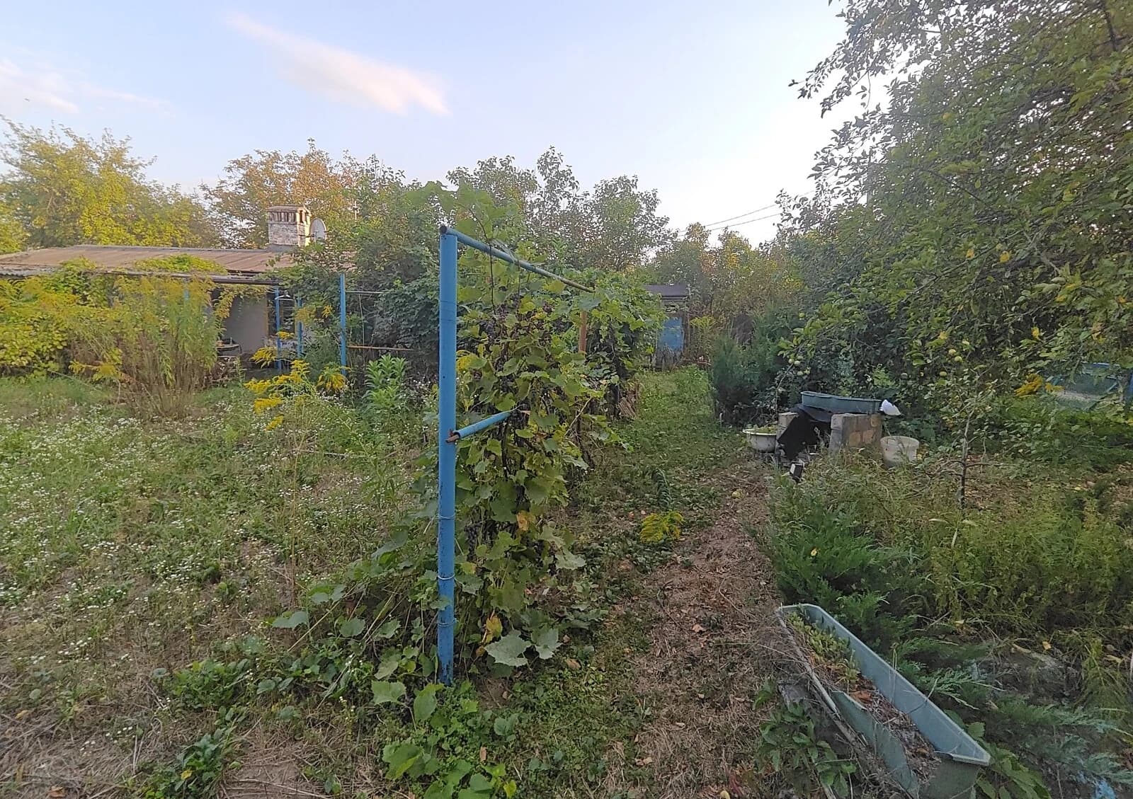 Ділянка 6 соток, Ярославка: під житлову забудову, природне озеро - фото 5