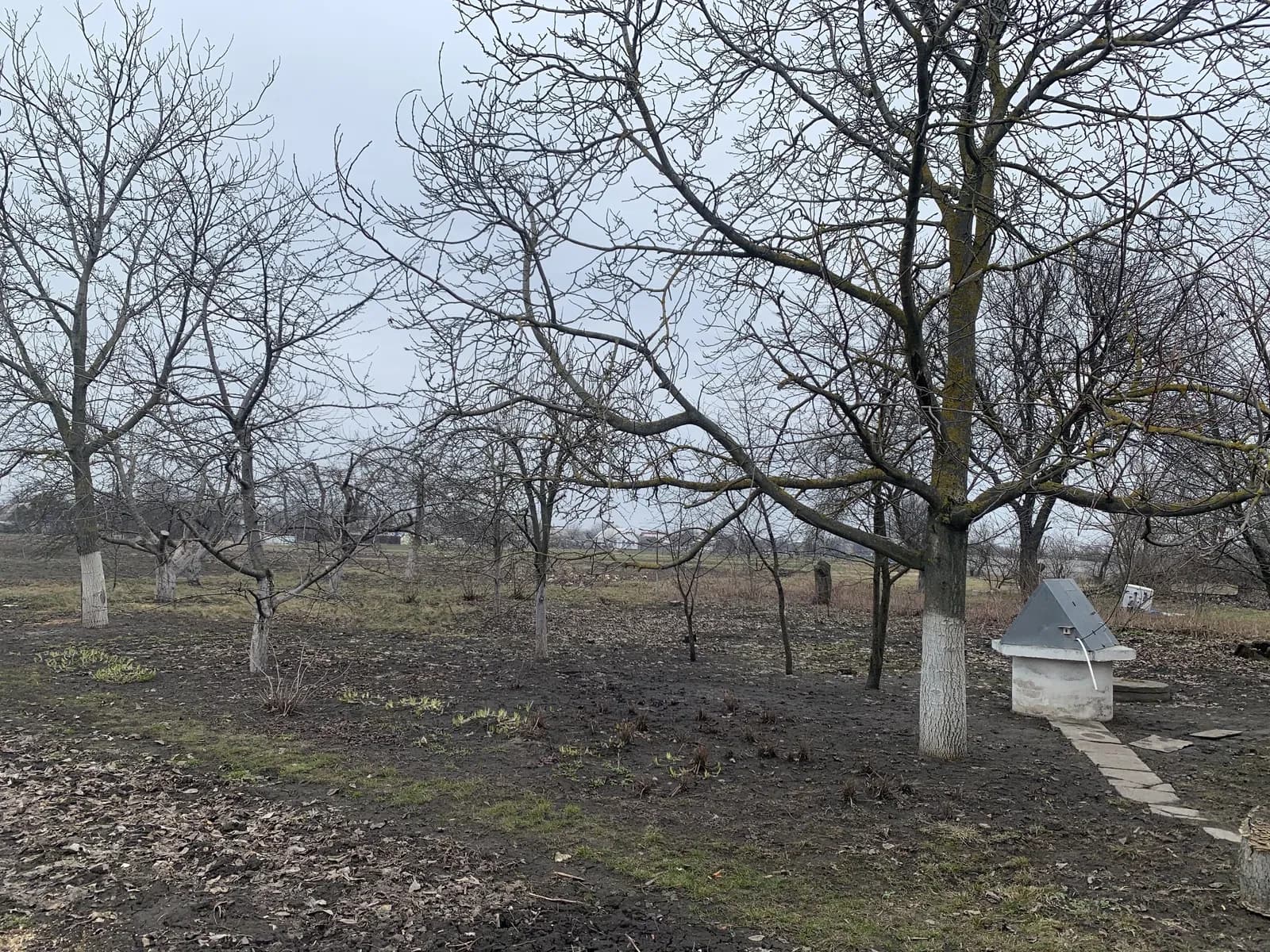 Будинок, Кодаки: 25 соток, 200 м до зупинки, єОселя - фото 4