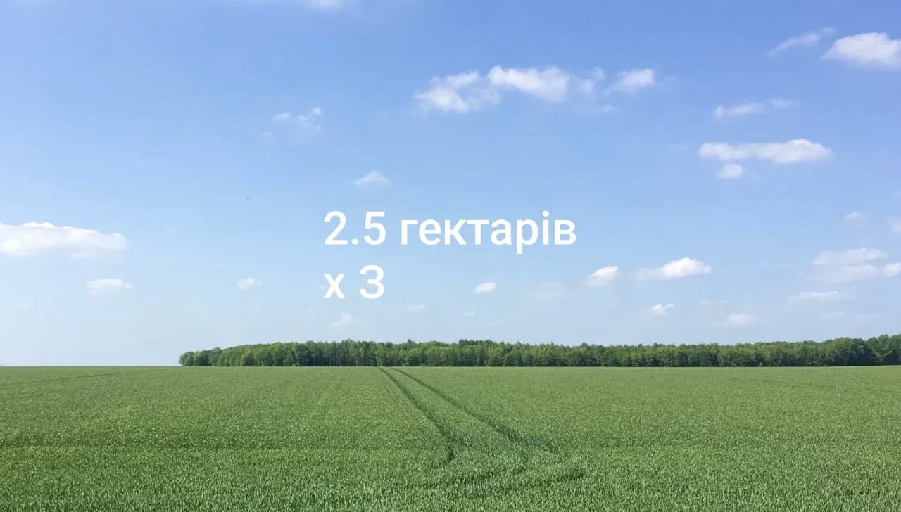 Ділянка 250 соток, Часлівці: електрика, кам’яна дорога - фото 1