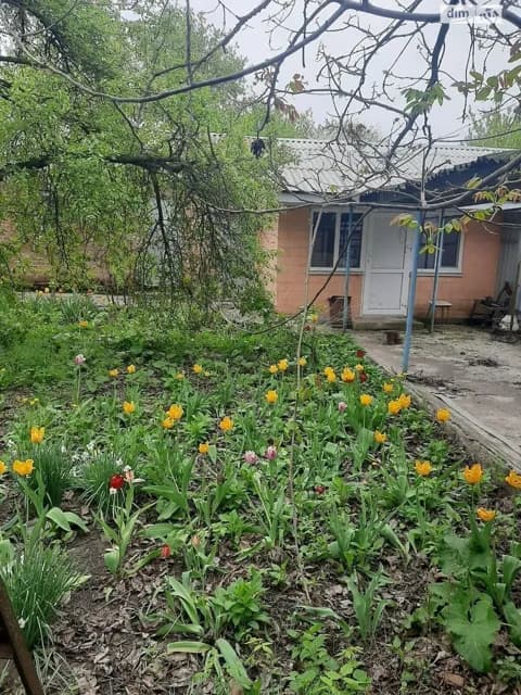 Частина будинку, Іванівка: баня, гараж, літня кухня - фото 5