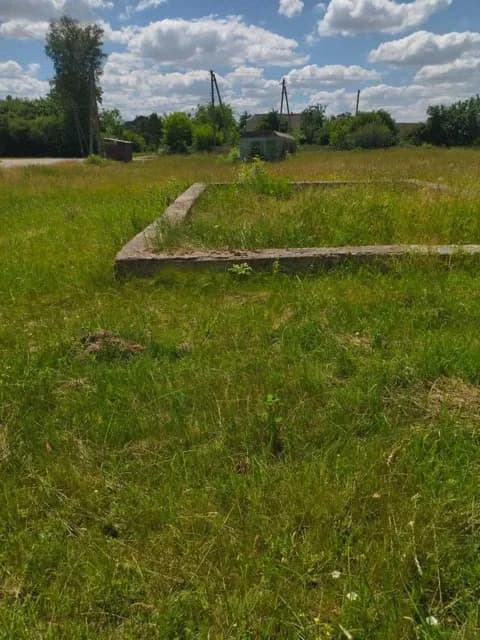 Ділянка 20 соток, Озадівка: фундамент, вагончик, асфальтована дорога - фото 4