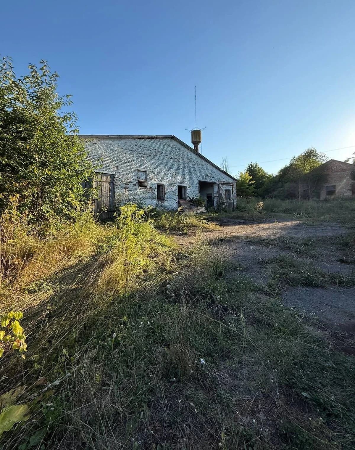 Приміщення, Голенищеве (Летичів): ангар для зерна, окреме - фото 4