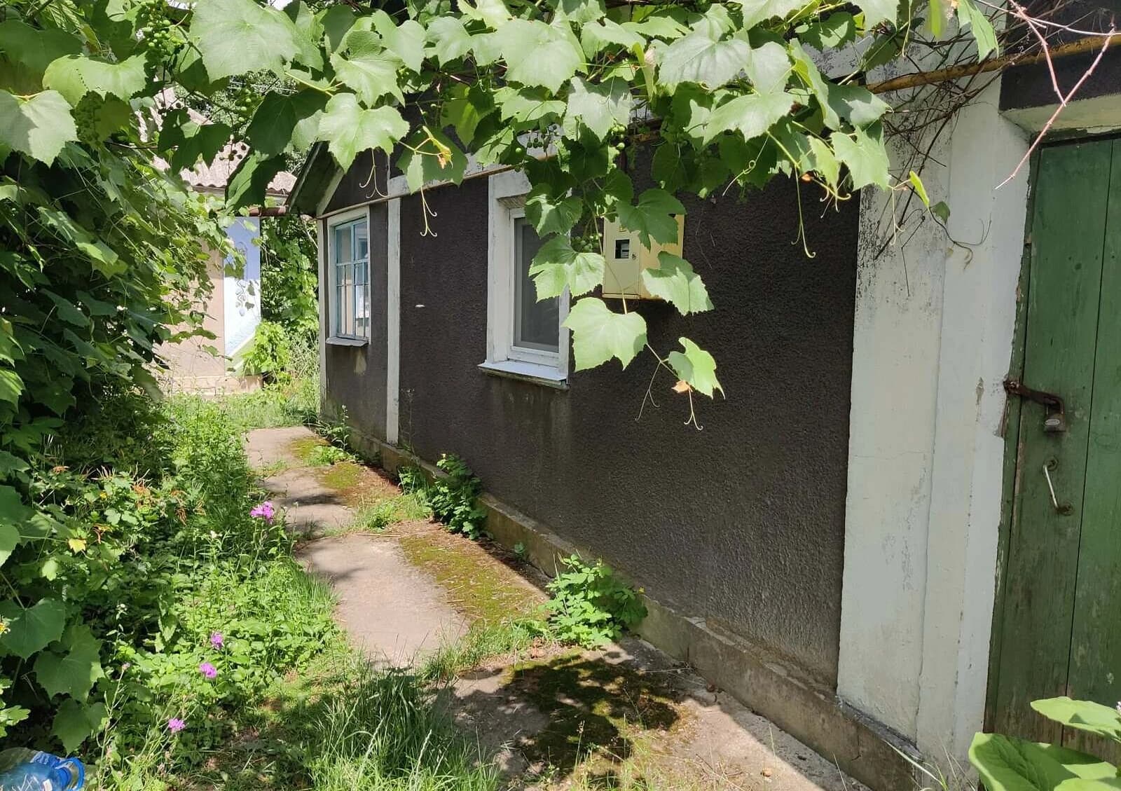 3-кімнатний будинок, Глушківці: сад, літня кухня - фото 3