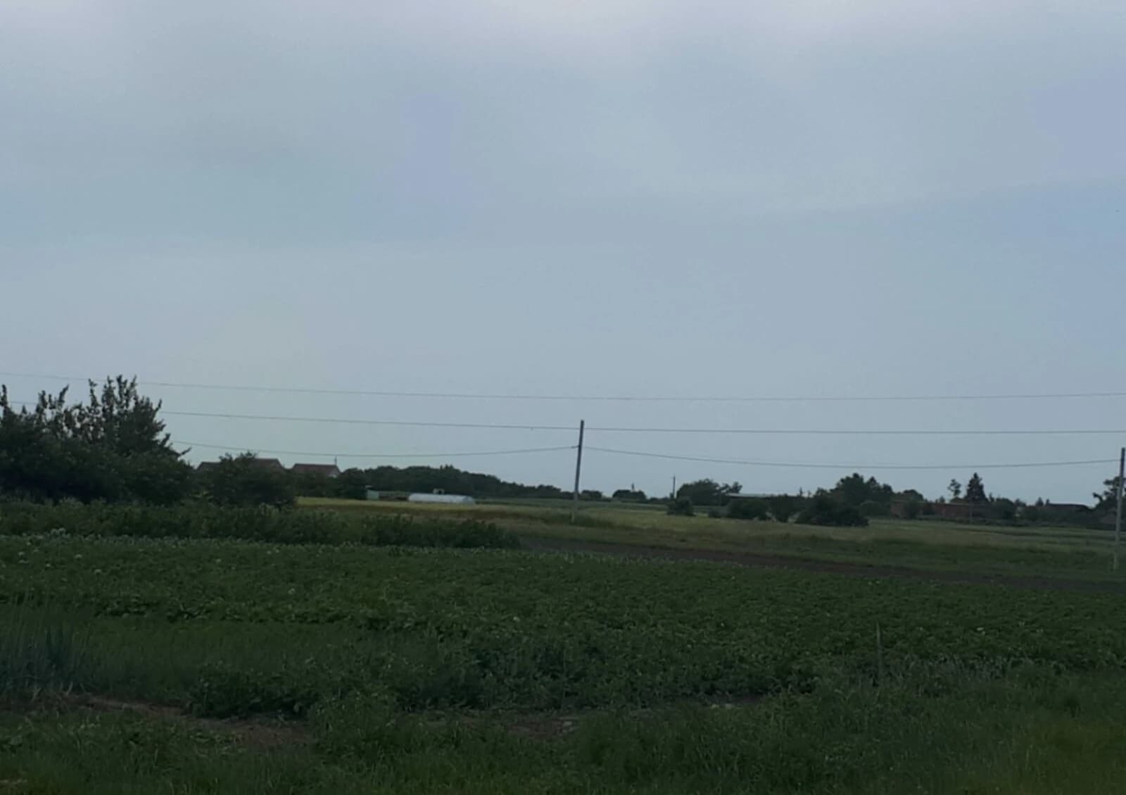 Ділянка 19.5 соток, Двірець: під житлову забудову, електрика - фото 5
