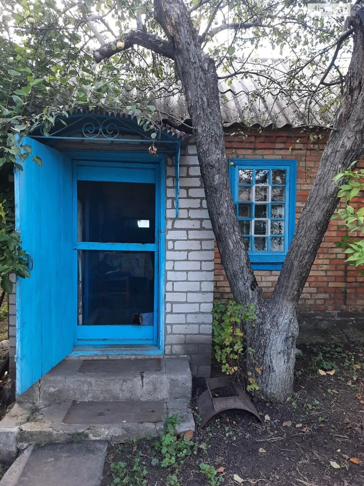 Будинок, Петрове: веранда, 31 сотка, газове опалення - фото 2