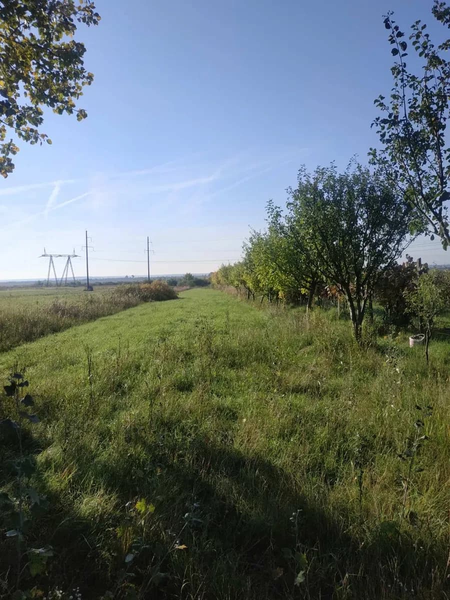 Ділянка 25 соток, Холмець: до 15 км від Ужгорода, газ, сад - фото 3