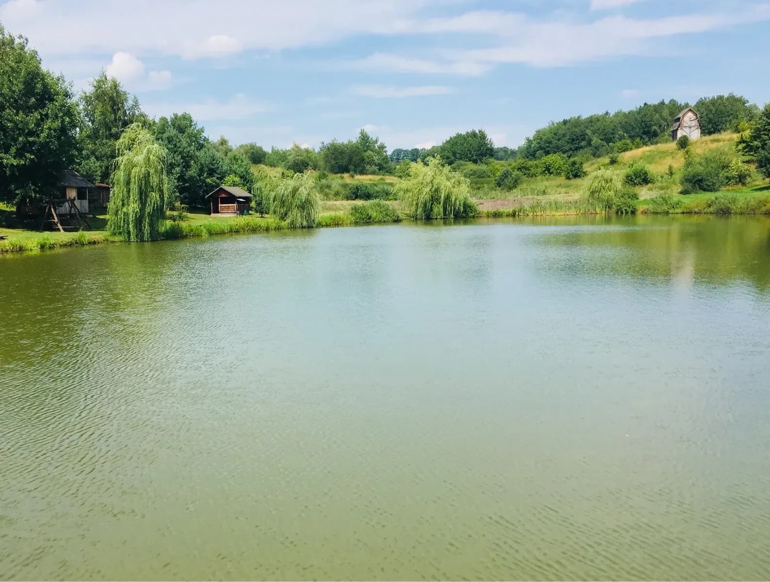 Ділянка 500 соток, біля Трускавця: 500 м від траси, зариблені озера - фото 5