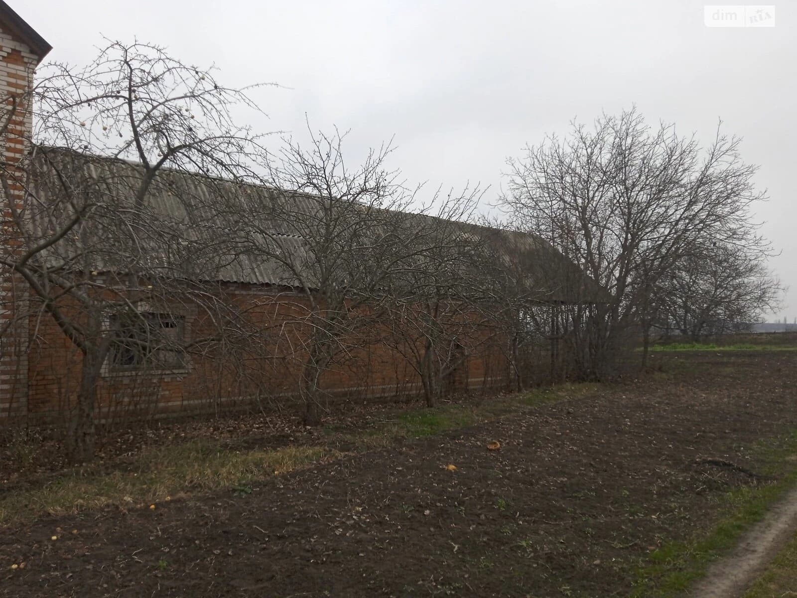 Будинок, Теплик: гараж, літня кухня, господарські будівлі - фото 3