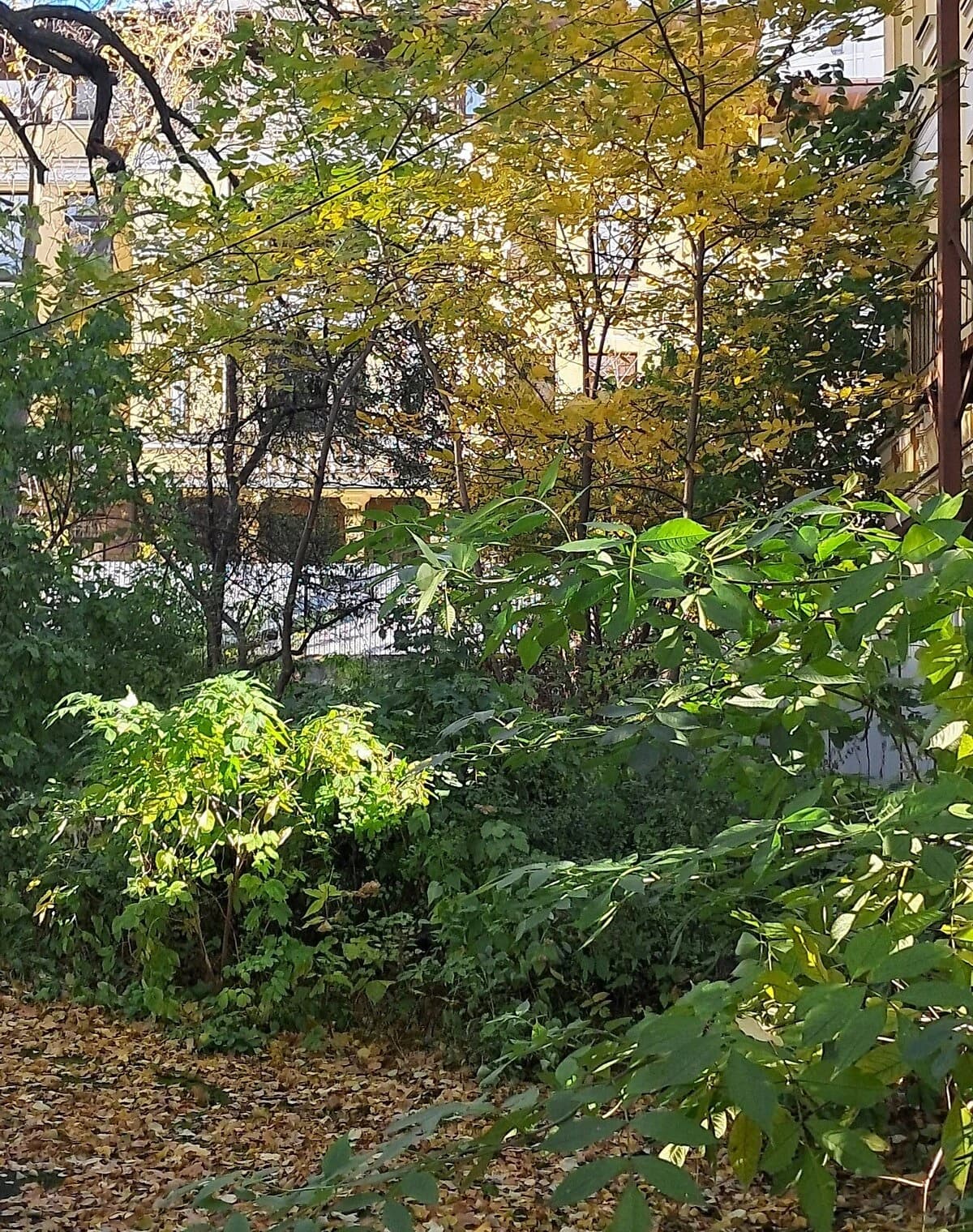 Ділянка 10 соток, Лук'янівка: житлова забудова, газ, сад - фото 5