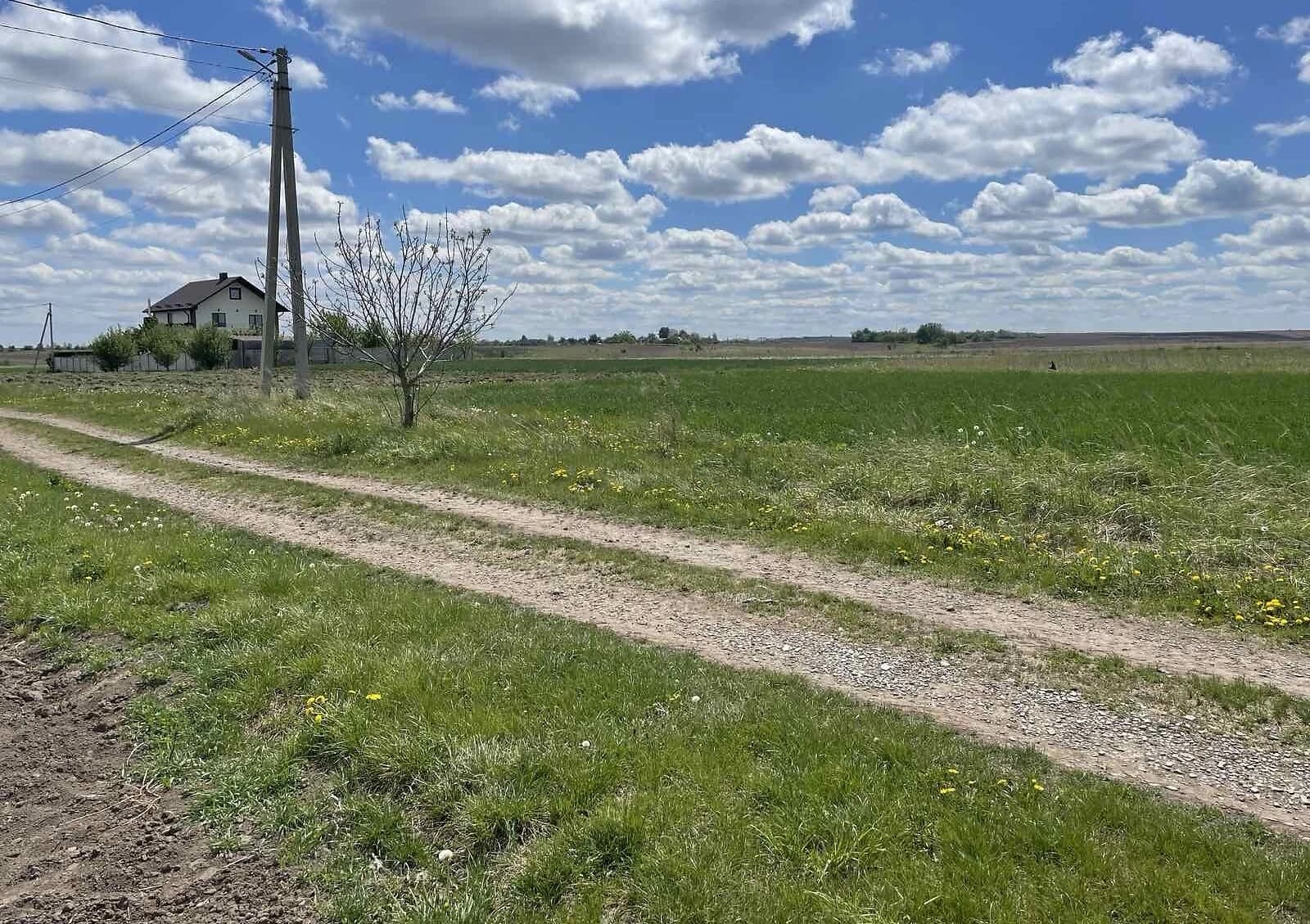 Ділянка 10 соток, Велика Омеляна: під житлову забудову, сад