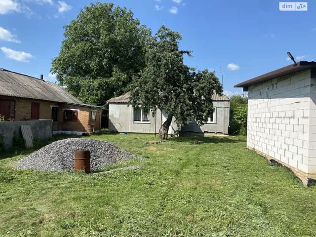 Будинок, Подільське: гараж, центральний водопровід - фото 2