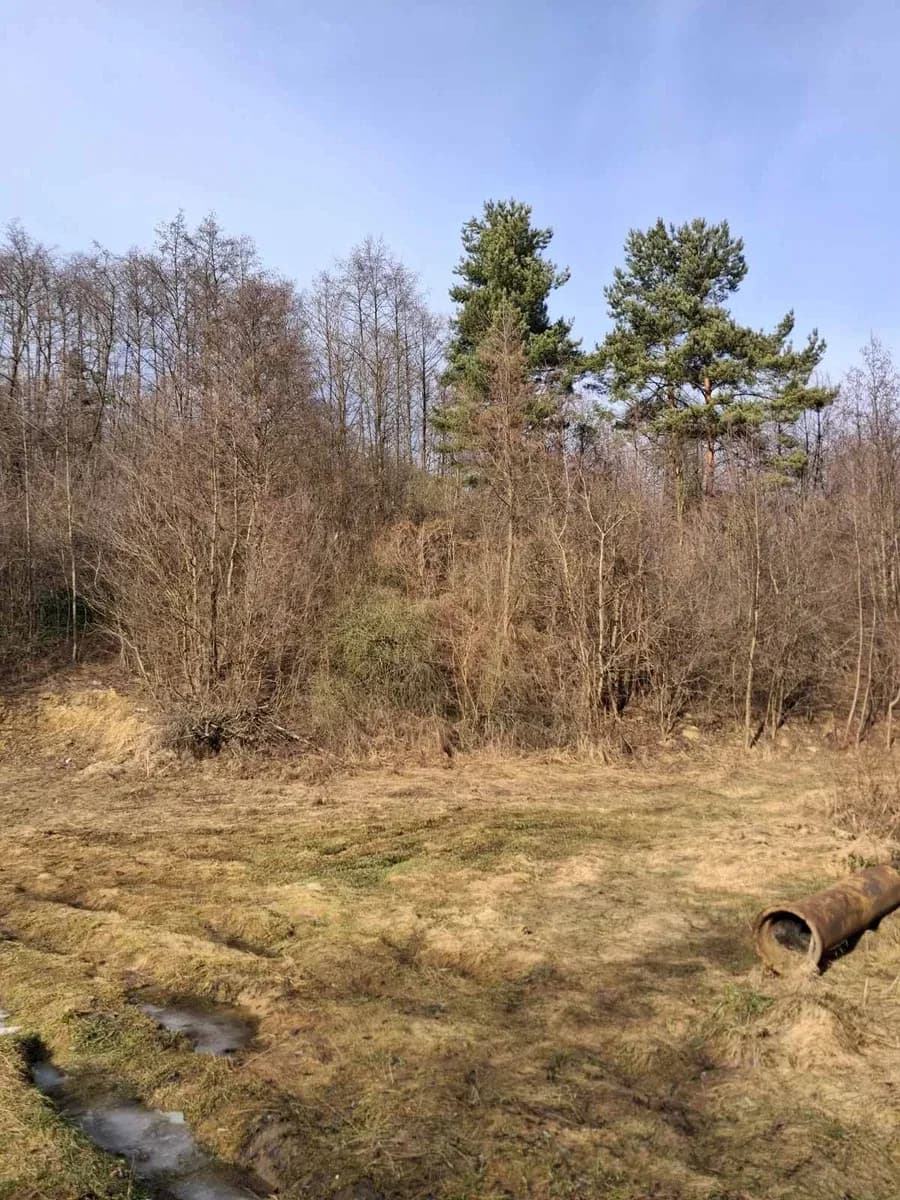 Ділянка 67 соток, Шоломинь: до Львова 10 км, озеро й ліс - фото 3