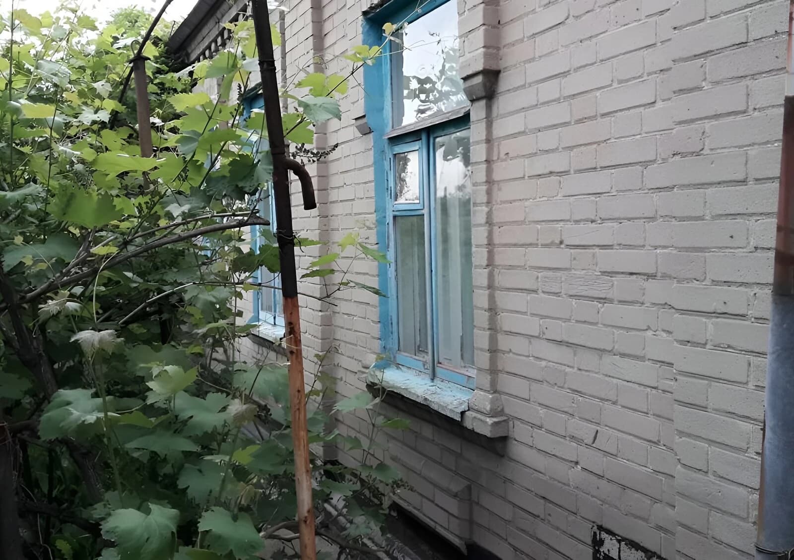 Частина будинку, Запоріжжя: гараж у дворі, сад і паркан - фото 5